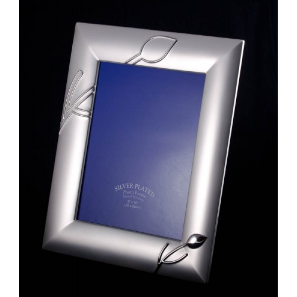 Silver Plated fotolijsten voor fotos van 20 / 25 cm 