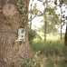 Wildcamera