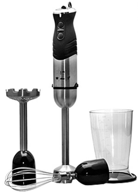 Staafmixer RVS
